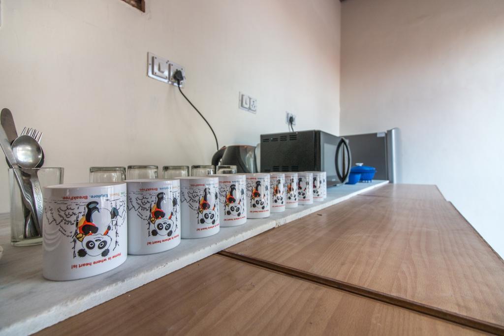 Backpacker Stephels Hostel Dźajpur Zewnętrze zdjęcie