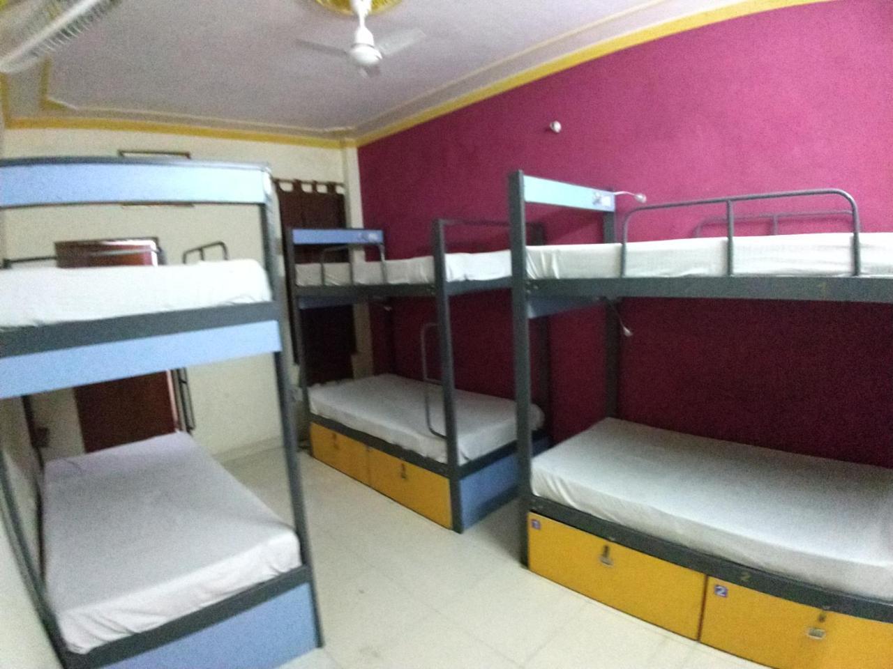 Backpacker Stephels Hostel Dźajpur Zewnętrze zdjęcie