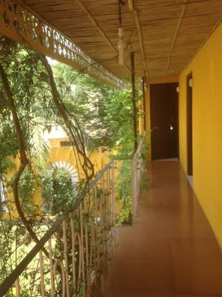 Backpacker Stephels Hostel Dźajpur Zewnętrze zdjęcie